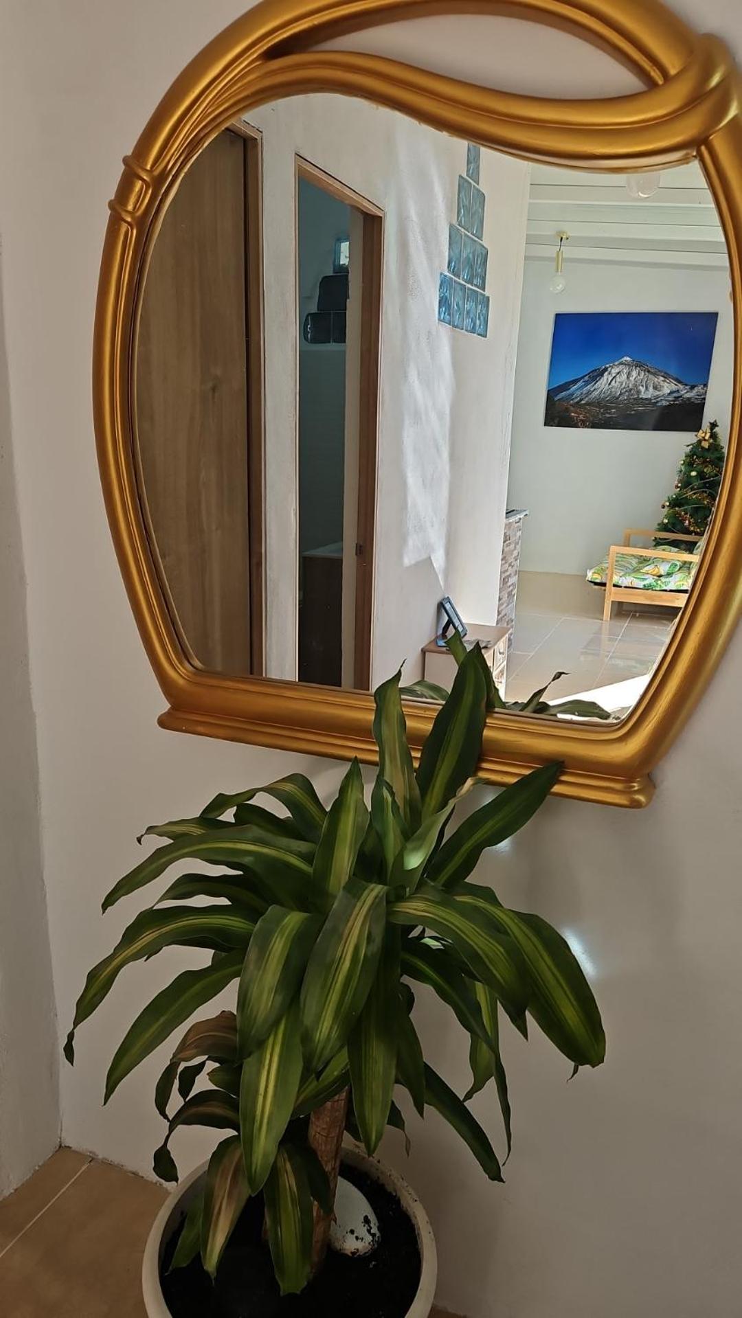 Casita Amada Apartment Santa Cruz de Tenerife Bagian luar foto